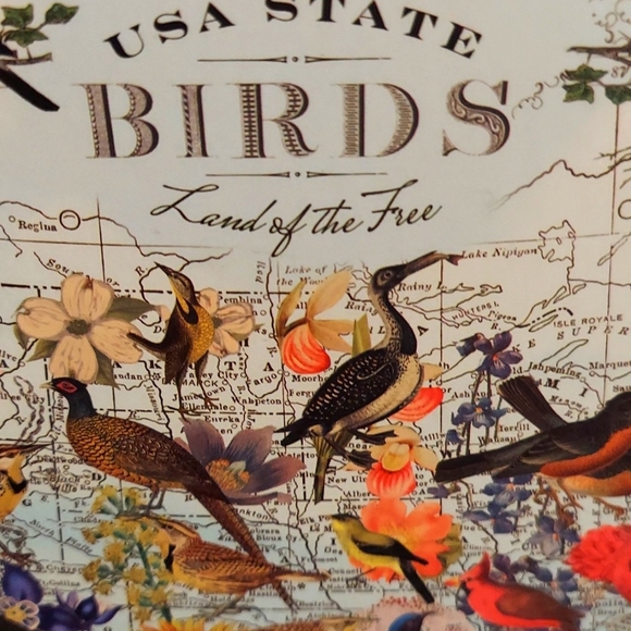 USA State Birds Land of the Free 1000peice jigsaw puzzle - Picture 2 of 4